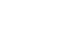 Vector
